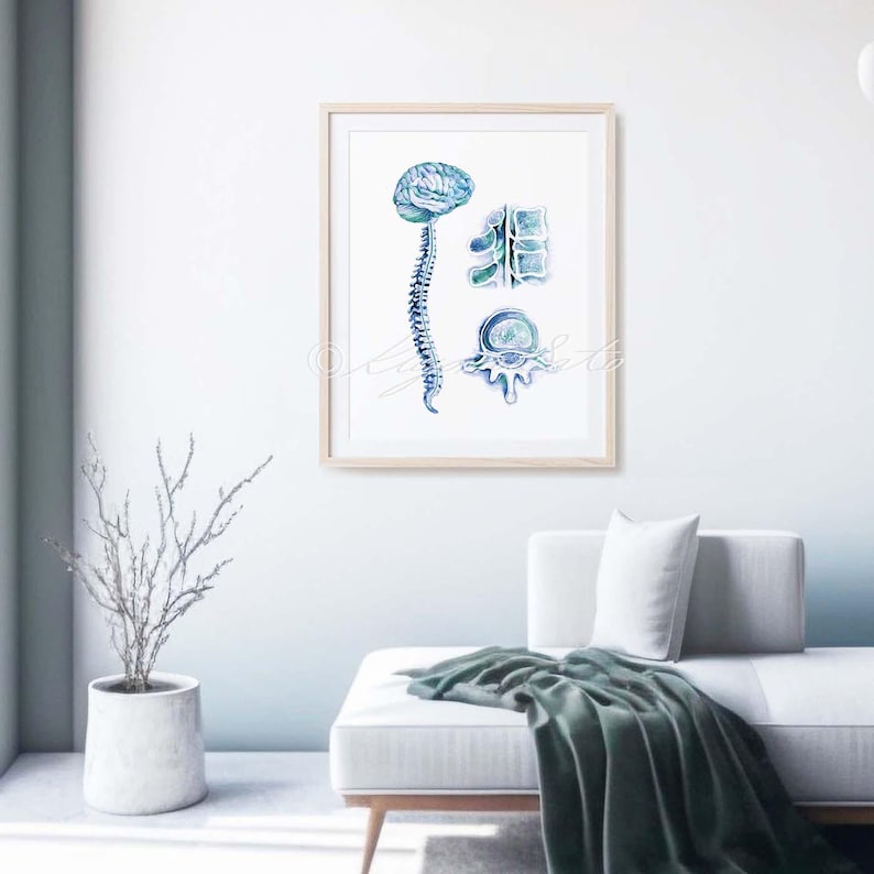 Brain and Spinal Cord Art Print Orthopedics Wall Decor, Physical ...