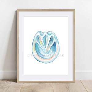 May include: A watercolor painting of a horse's hoof, showing the internal anatomy. The hoof is a light blue color with yellow and orange accents. The text "&copy; THE FOREST CLOAK" is in the bottom right corner of the image.