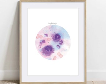 Megakaryocyte, Bone Marrow Cell, Biology Molecular Biology print, Science wall decor