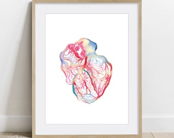 Heart Vascularization Poster, Science Art, Biology Anatomy Cardiology Print