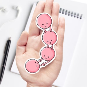 Streptococcus Vinyl Sticker, Unique Science Microbiology Bacteria sticker decal