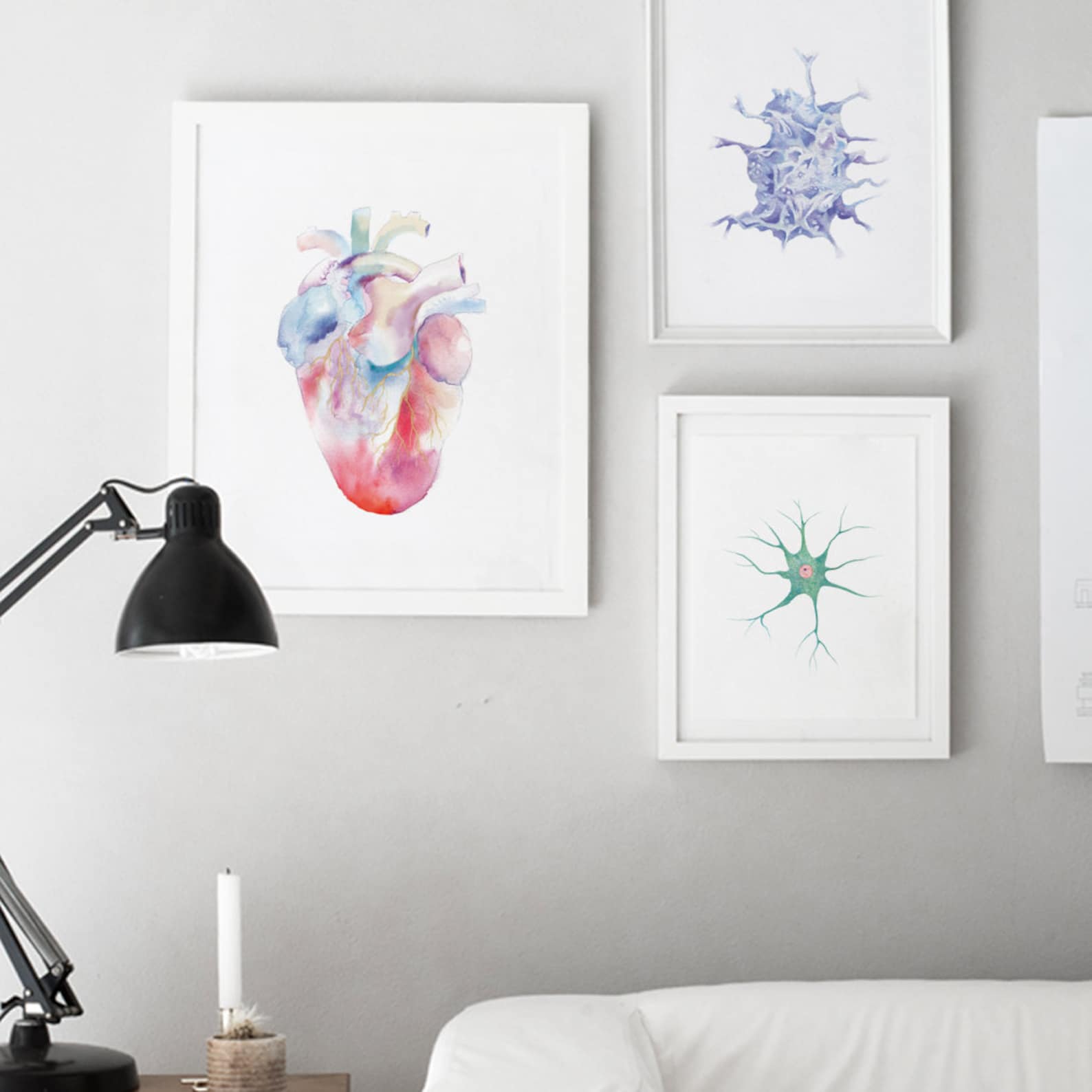 Human Heart Watercolor Painting Poster Science Art Biology Etsy