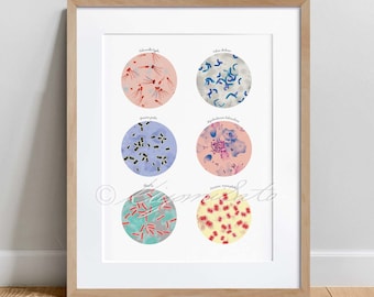 Póster de arte científico sobre bacterias epidémicas, lámina de microbiología