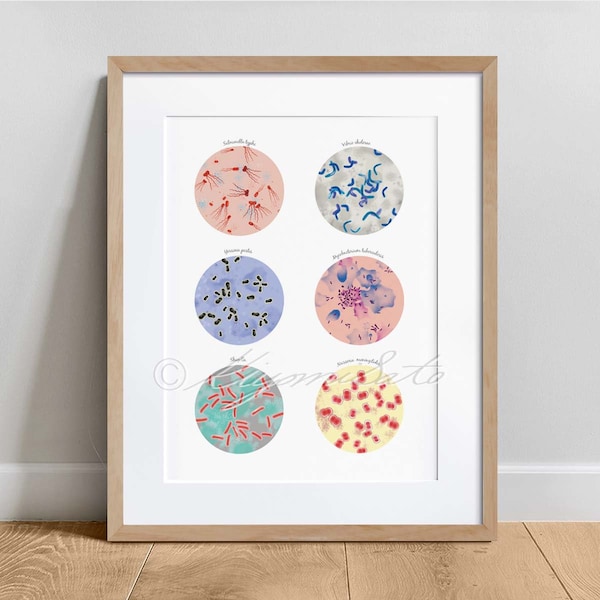 Epidemic Bacteria Art, Salmonella, Cholera, Yersinia pestis, Tuberculosis, Shigella, Meningitidis, Science art poster, Microbiology art