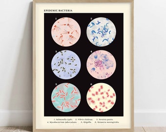 Epidemic Bacteria Collection Vintage style science Ar