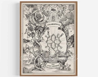 Chlorophyll, Photosynthesis Chemical Structure Poster, Medieval style science art print, Dark Academia wall decor