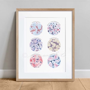 Canine Skin Infection Causing Bacteria Collection Art Print, Veterinary dog Clinic Poster