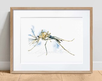 Mosquito Side View Poster Horizontal, Mosquito Lateral View Science Art, Biology print, wall decor