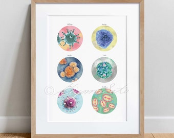 Epidemic Virus Collection, science Art, Influenza virus, Mumps, Measles, Polio, Smallpox, HIV Poster