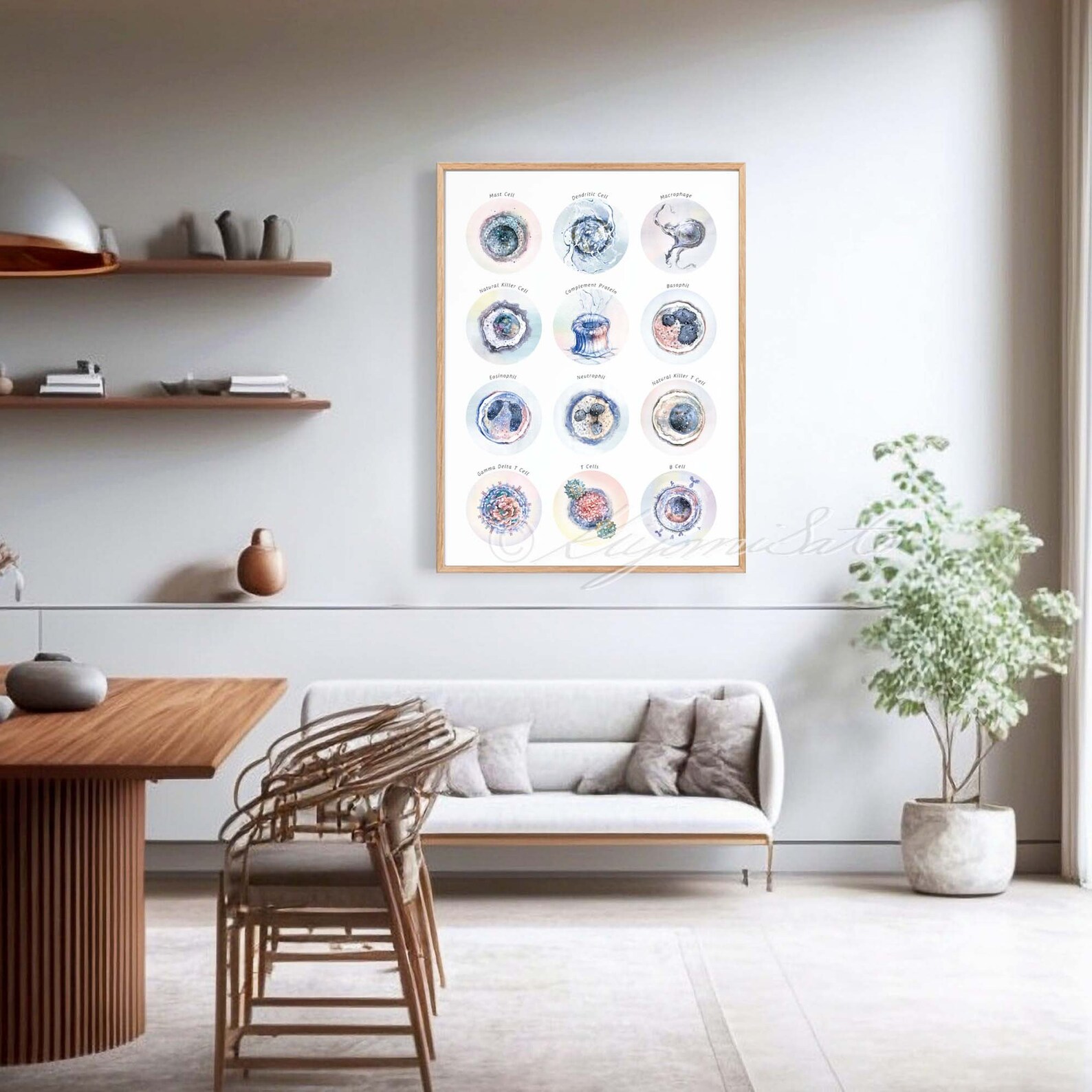 Immune System Collection Art Print, Immunology Poster White Blood Cell ...