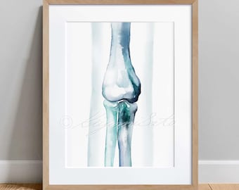 Elbow Joint Anterior View Abstract Art Poster, Hand Anatomy Wall Decor, Occupational Therapy Orthopedics Physical Therapy Science Art Print