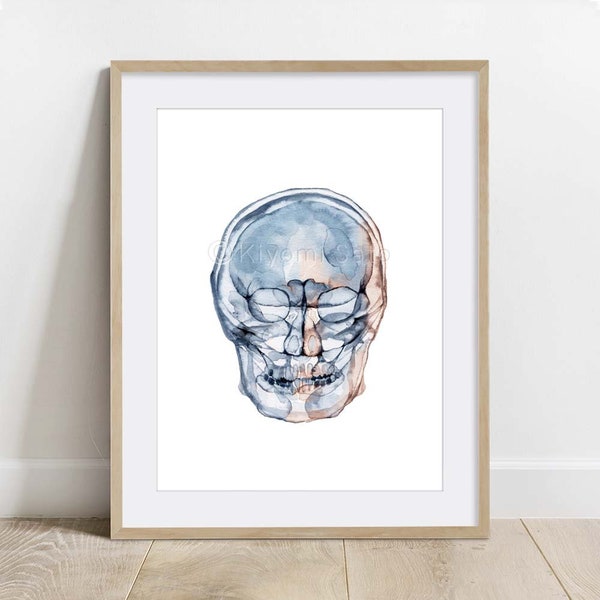 Skull Art Print, Science wall decor, Watercolor Anatomy poster, Biology print, Bone art print, Skeletal system poster