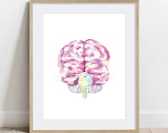 Human Brain Watercolor painting Poster, Science Art, Biology Anatomy Print