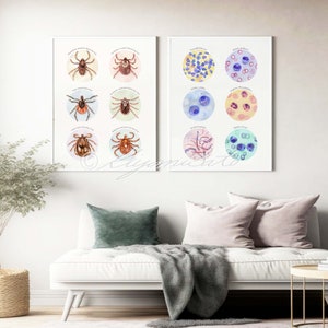 Tick Collection Art and Tick Borne Pathogens Collection Poster Set of 2, Parasitology Art, Veterinary Art, Vet Tech Gift, Parasite Art image 2