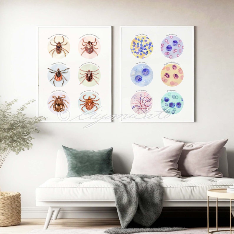 Tick Collection Art and Tick Borne Pathogens Collection Poster Set of 2, Parasitology Art, Veterinary Art, Vet Tech Gift, Parasite Art image 2
