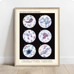 Pap Smear Common Pathogens Collection Art Print, Vintage Style Science Art poster Decor