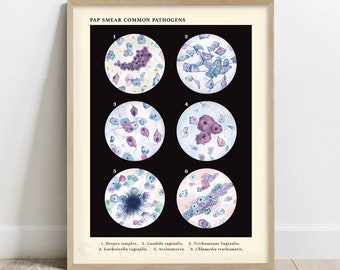 Pap Smear Common Pathogens Collection Art Print, Vintage Style Science Art poster Decor