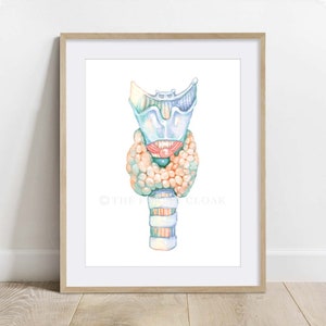 Thyroid Gland Art, Biology Poster, Science Art print, Endocrine gland wall decor