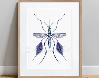 Sabethes Cyaneus Mosquito Poster, Science Art, Microbiology Art, Vector Biology print, Mosquito Watercolor wall decor, Veterinary Art