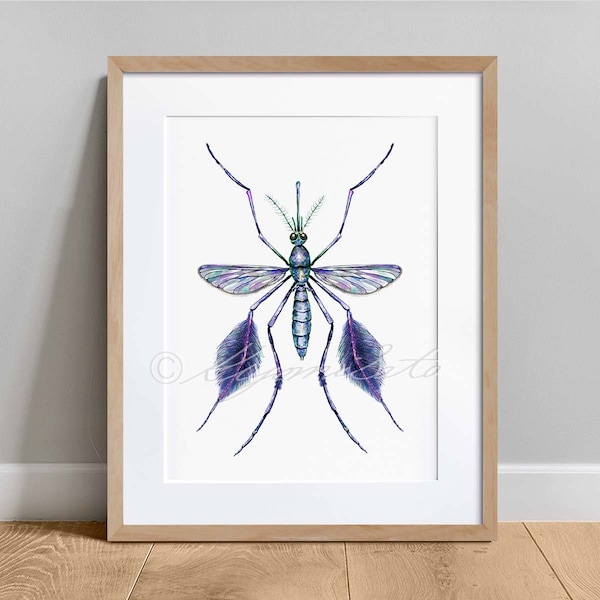 Sabethes Cyaneus Mosquito Watercolor Print, Vector Biology Art