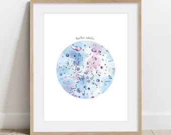 Bacillus subtilis, Science Art Print, bacteria poster, Microbiology wall decor