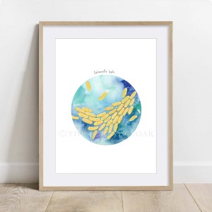 May include: A watercolor illustration of Salmonella typhi bacteria. The bacteria are depicted as yellow rods against a blue and green watercolor background.