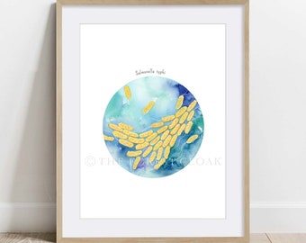 Salmonella typhi, Bacteria Art Print, Microbiology Science poster, Biology decor