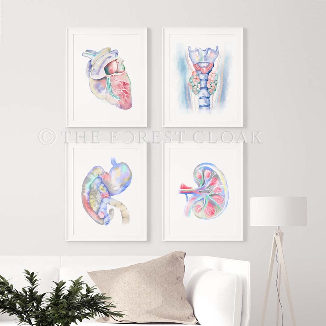 Canine Anatomy Art 4 Print Set Dog Anatomy Art Poster - Etsy
