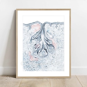 Nostrils sebaceous gland histology art, Science Art Decor, Histology Watercolor Poster, Anatomy Art Print
