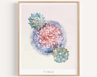 T Cells, Adaptive Immunity Art Print, White Blood Cell T lymphocyte CD4+ CD8+ Microbiology Defensive Cell Science Immune System Art Poster