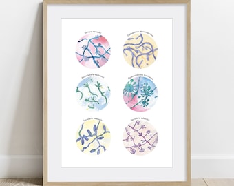 Melanized Fungi Collection Art Print, Microbiology Biology Poster
