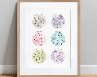 Wine Making Microbiome Collection Poster, Bacteria Fungi Microbiology Art print, Science art