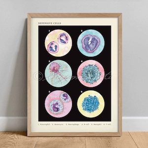 Defensive Cells, Vintage Style Microbiology Poster, Science Art print, wall decor Monocyte Macrophage Basophil Neutrophil T cell B cell