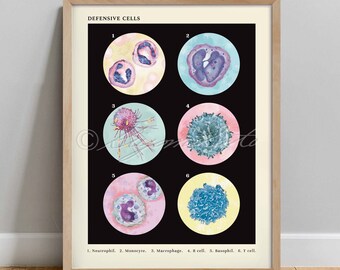 Defensive Cells, Vintage Style Microbiology Poster, Science Art print, wall decor Monocyte Macrophage Basophil Neutrophil T cell B cell