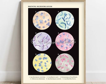 Brewing Microorganism Collection, Vintage Style Microbiology Poster, Science Art print decor