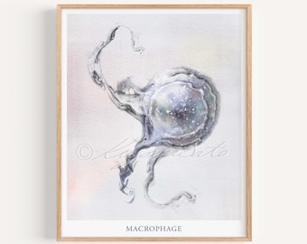 Macrophage Cell Innate Immunity Art Print Cytology Microbiology Immunology Science Art Biology Wall Decor Hematology Art Poster