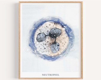 Neutrophil Innate Immunity Art Print, White Blood Cell Cytology Microbiology Immunology Science Art Biology Defensive Cell Art Poster