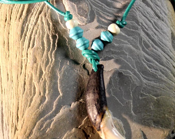 Large Wolf Tooth Necklace Wolf Teeth Necklace Wolf Necklace Wolf Tooth Necklace Adjustable African Native American Large Wolf Tooth Necklace