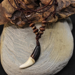 Large Wolf Tooth Necklace Wolf Teeth Necklace Wolf Necklace Wolf Tooth Necklace Adjustable African Native American Large Wolf Tooth Necklace