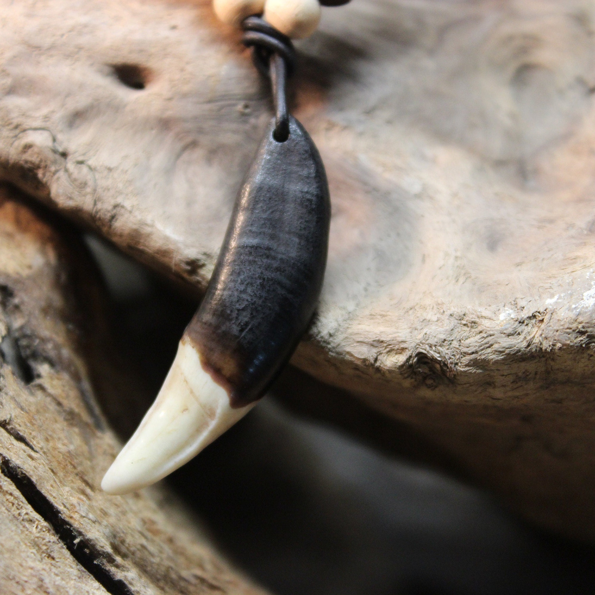 Large Wolf Tooth Necklace Wolf Teeth Necklace Wolf Necklace Wolf Tooth