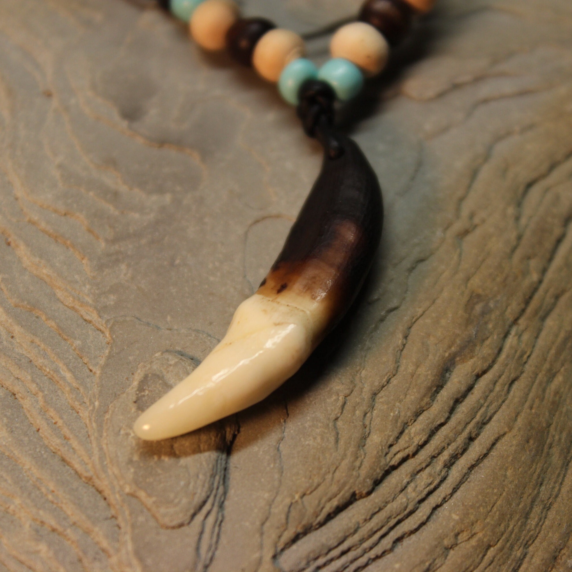 Large Wolf Tooth Necklace Wolf Teeth Necklace Wolf Necklace Wolf Tooth