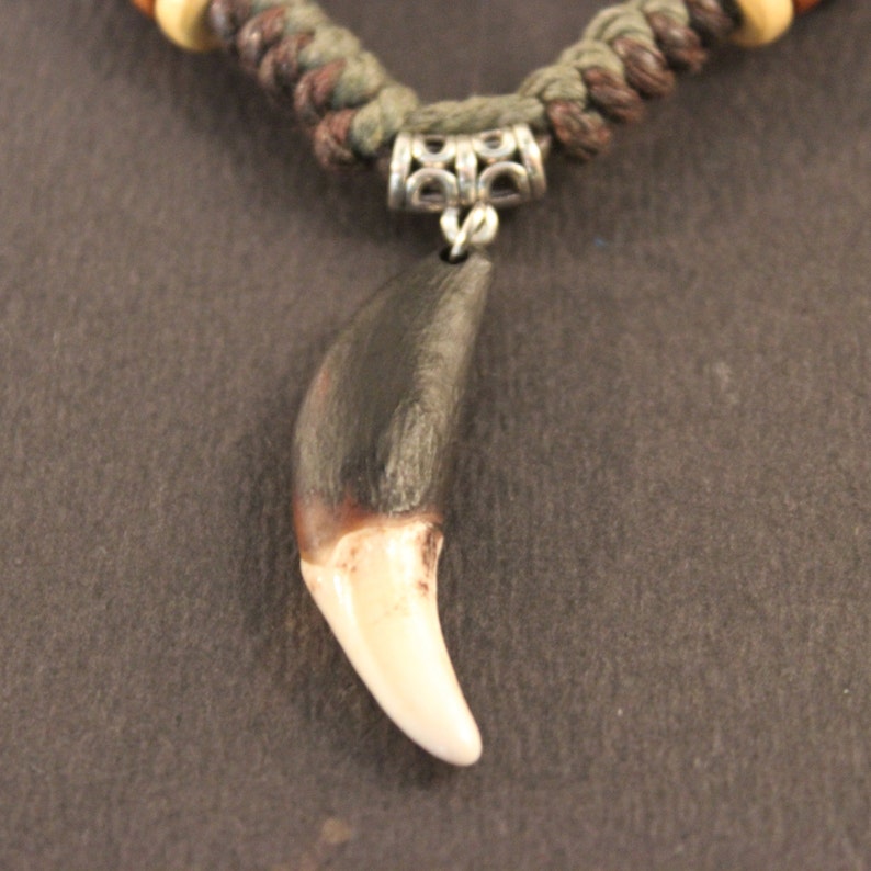 Large Wolf Tooth Necklace Wolf Teeth Necklace Wolf Necklace Etsy