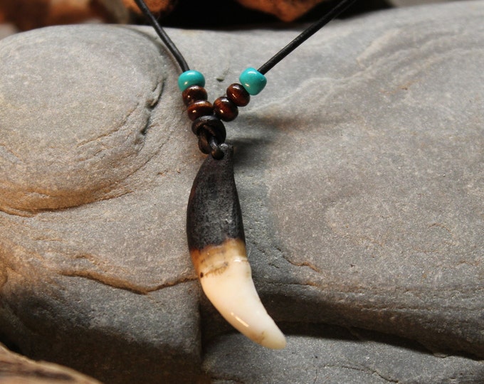 Large Wolf Tooth Necklace Wolf Teeth Necklace Wolf Necklace Wolf Tooth Necklace Adjustable African Native American Large Wolf Tooth Necklace