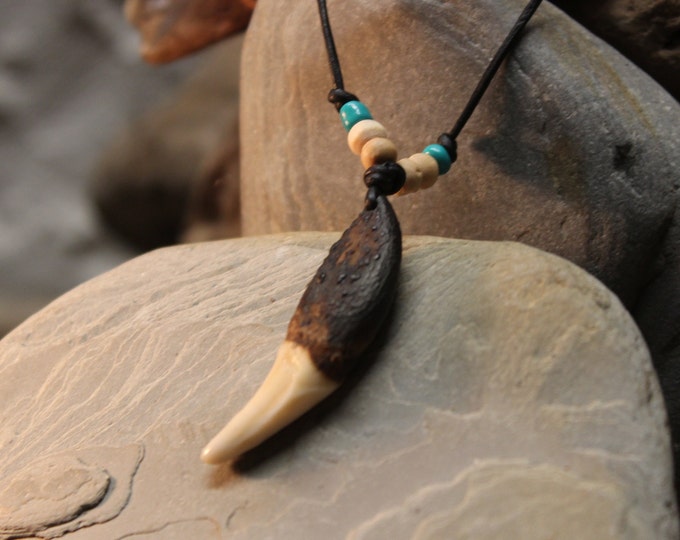 Large Wolf Tooth Necklace Wolf Teeth Necklace Wolf Necklace Wolf Tooth Necklace Adjustable African Native American Large Wolf Tooth Necklace