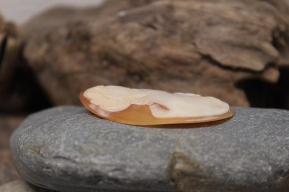 Victorian Cameo Shell 8.5 Grams Large Shell Cameo… - image 7