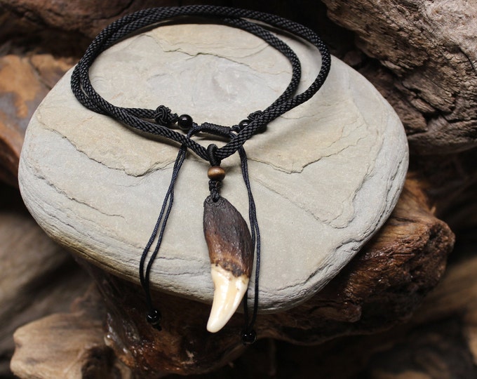 Large Wolf Tooth Necklace Wolf Teeth Necklace Wolf Necklace Wolf Tooth Necklace Adjustable African Native American Real Wolf Tooth Necklace