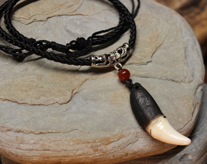 Large Wolf Tooth Necklace Wolf Teeth Necklace Wolf Necklace Wolf Tooth Necklace Adjustable African Native American Real Wolf Tooth Necklace