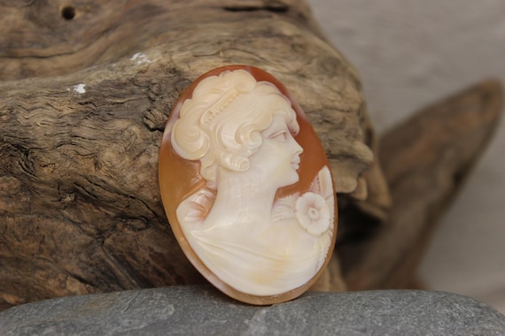 Victorian Cameo Shell 8.5 Grams Large Shell Cameo… - image 3