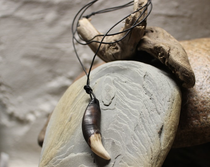 Large Wolf Tooth Necklace Wolf Teeth Necklace Wolf Necklace Wolf Tooth