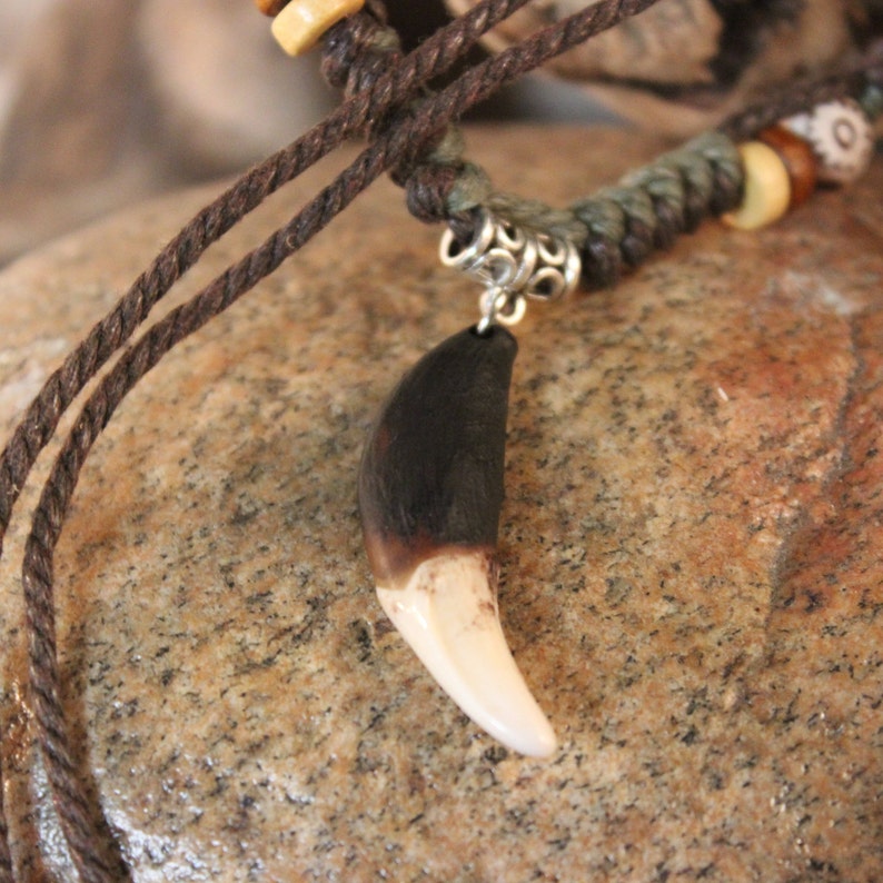 Large Wolf Tooth Necklace Wolf Teeth Necklace Wolf Necklace Etsy